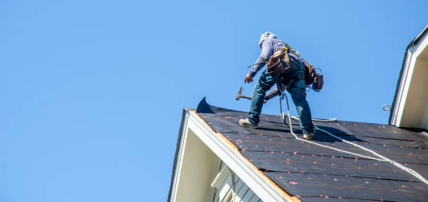 Best Roof Waterproofing Services  in St Croix Falls, WI